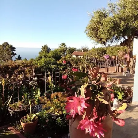 Casa Rosales With Pool & Wifi Сasa de vacaciones *