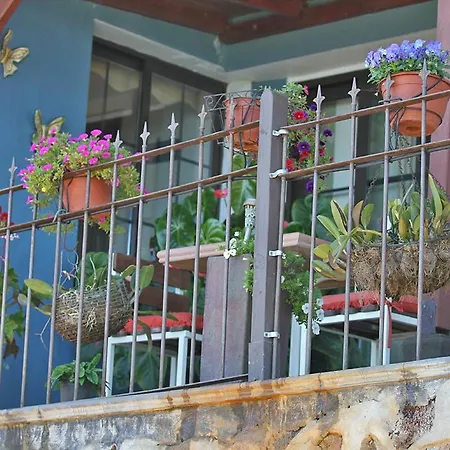 Casa Rosales With Pool & Wifi