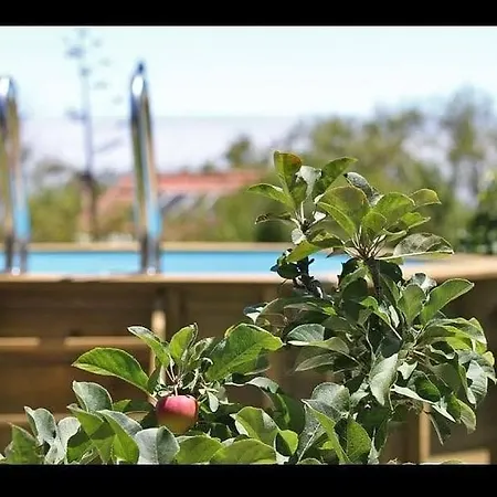 Casa Rosales With Pool & Wifi